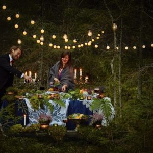 Suomen luonnon paiva Laura Riihela Normaali